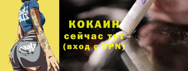 шишки Надым