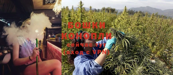 PSILOCYBIN Абаза