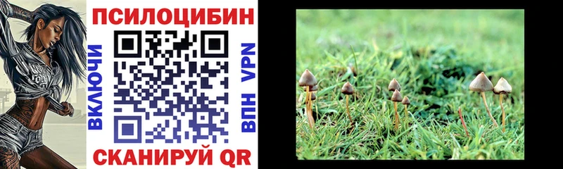 Псилоцибиновые грибы мицелий  Цимлянск 